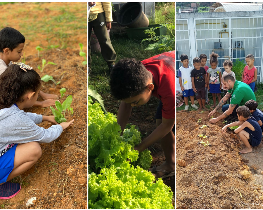 Alunos com idades entre 4 e 7 anos aprendem com o extensionista do Incaper, Hebert Teixeira Cândido