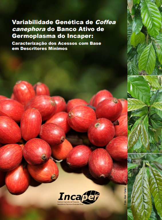 Cultivares de cafés Conilon e Robusta. - Portal Embrapa