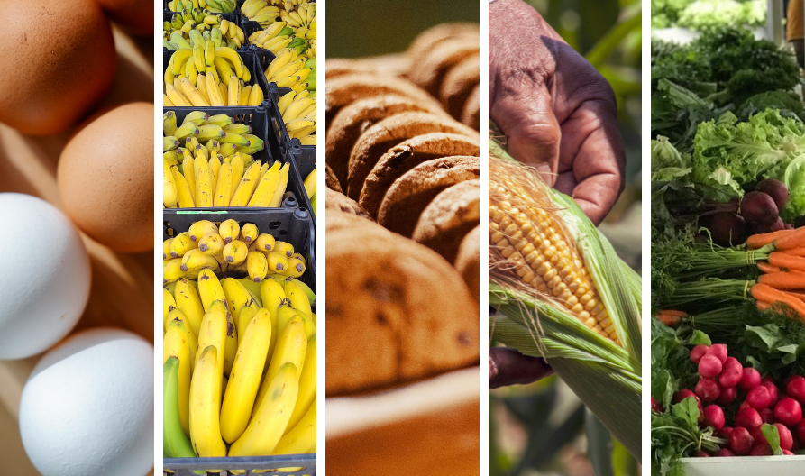 agricultores-capixabas-produtos-merenda-escolar-2025