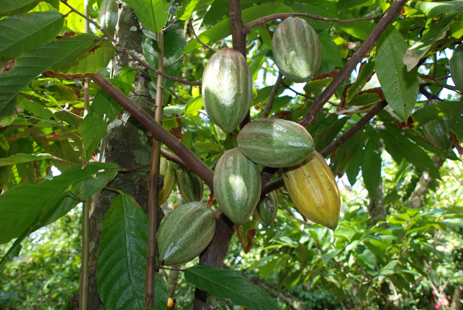 WhatsApp Image 2026-03-25 at 15.03.16