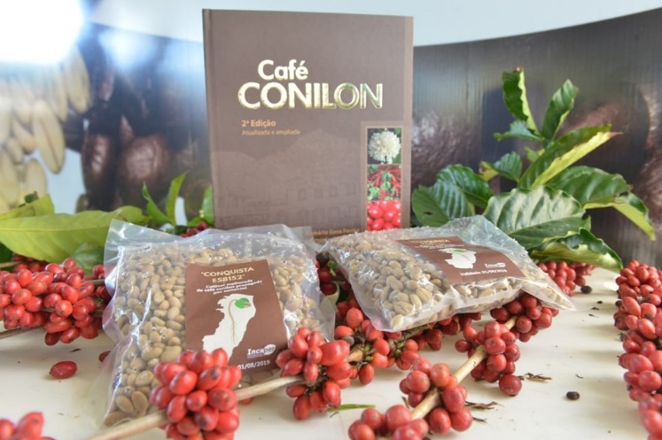 Cultivo do café conilon conquista produtores do Leste de Minas