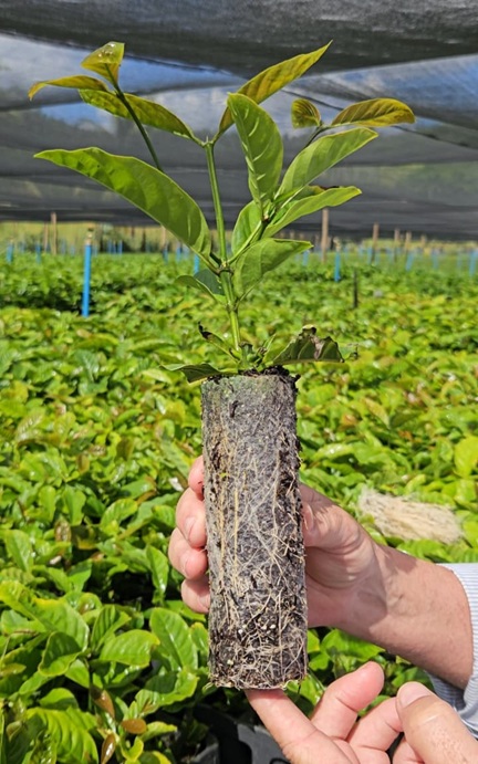 WhatsApp Image 2025-12-05 at 09.44.48-1