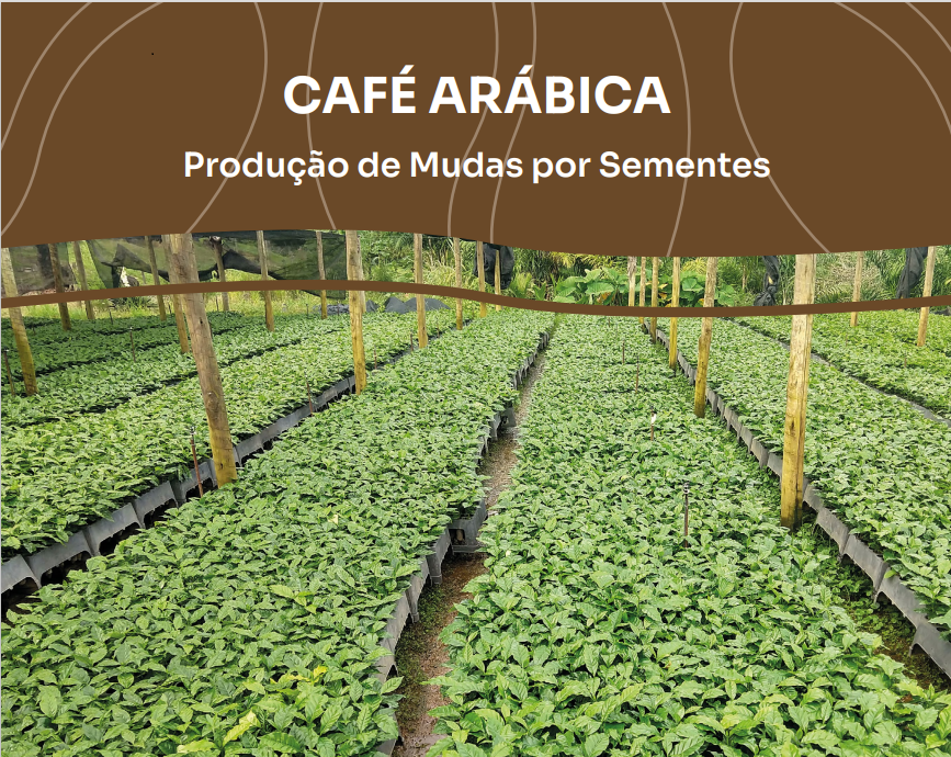 capa - cartilha cafe arabica 19-06-1