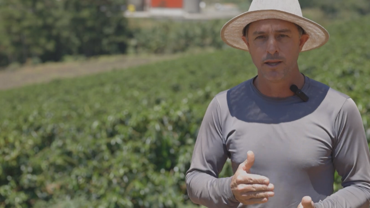 capa site produtores video yt