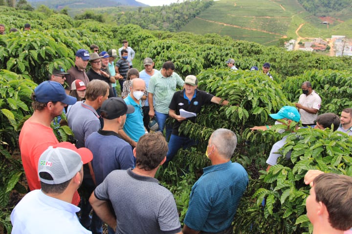 Novas cultivares de café arábica são indicadas para plantio no estado do  Espírito Santo - Portal Embrapa