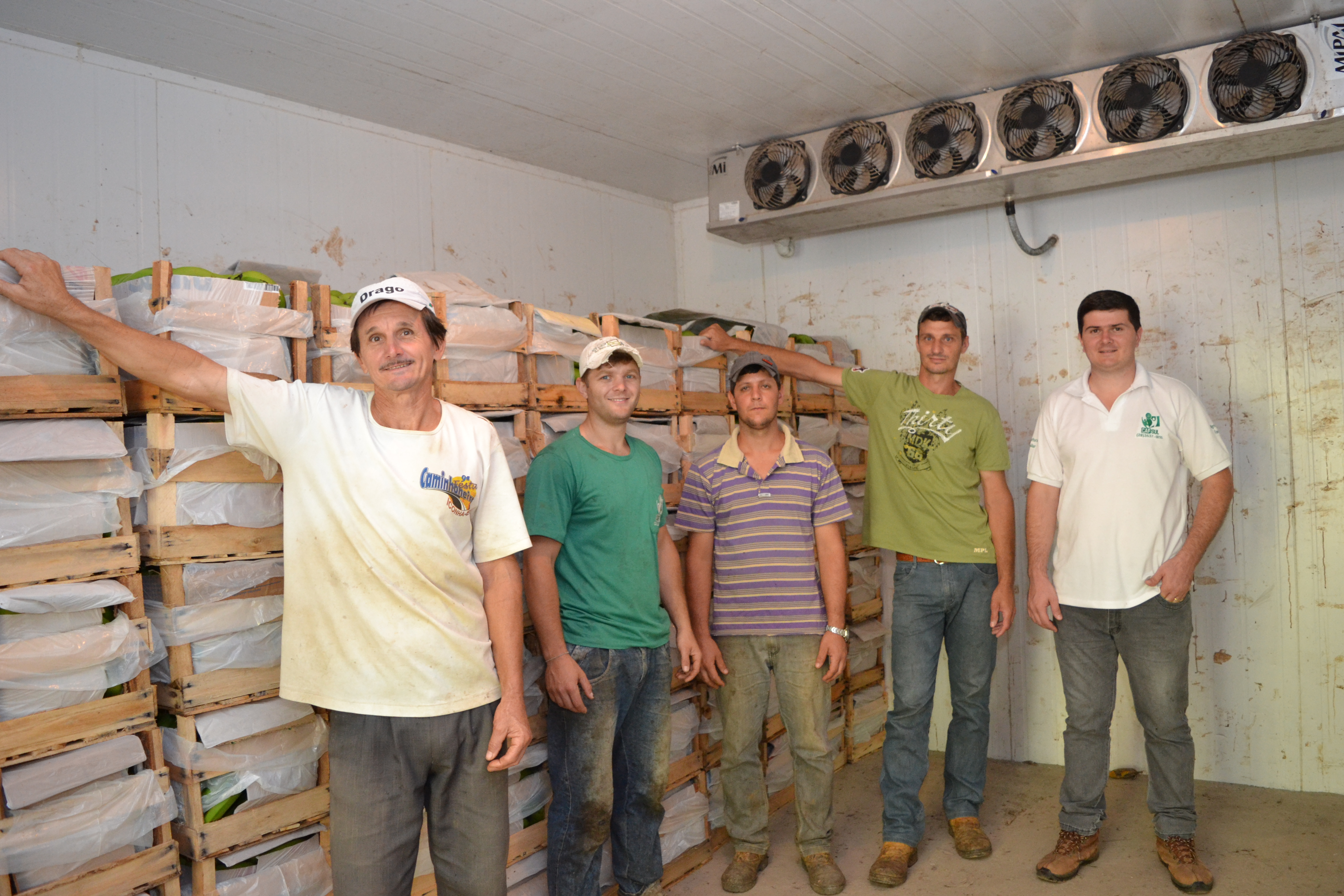A Cooperativa dos Cafeicultores do Sul do Estado do Espírito Santo é exemplo de sucesso.|||Fotógrafo:Arquivo Incaper
