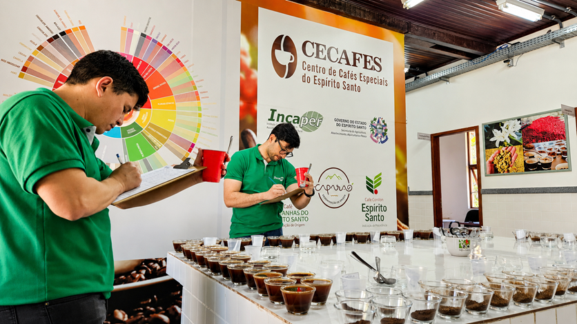 cecafes_sensorial.png