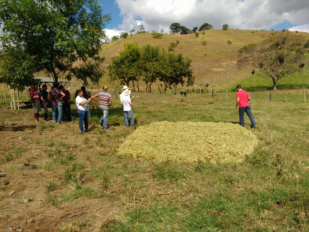 Os produtores tiveram a oportunidade de ver de perto o manejo e o uso correto da silagem.