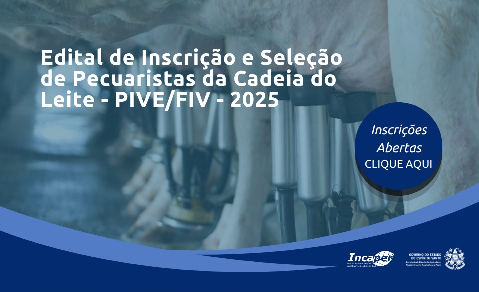 pive-five-edital.jpeg