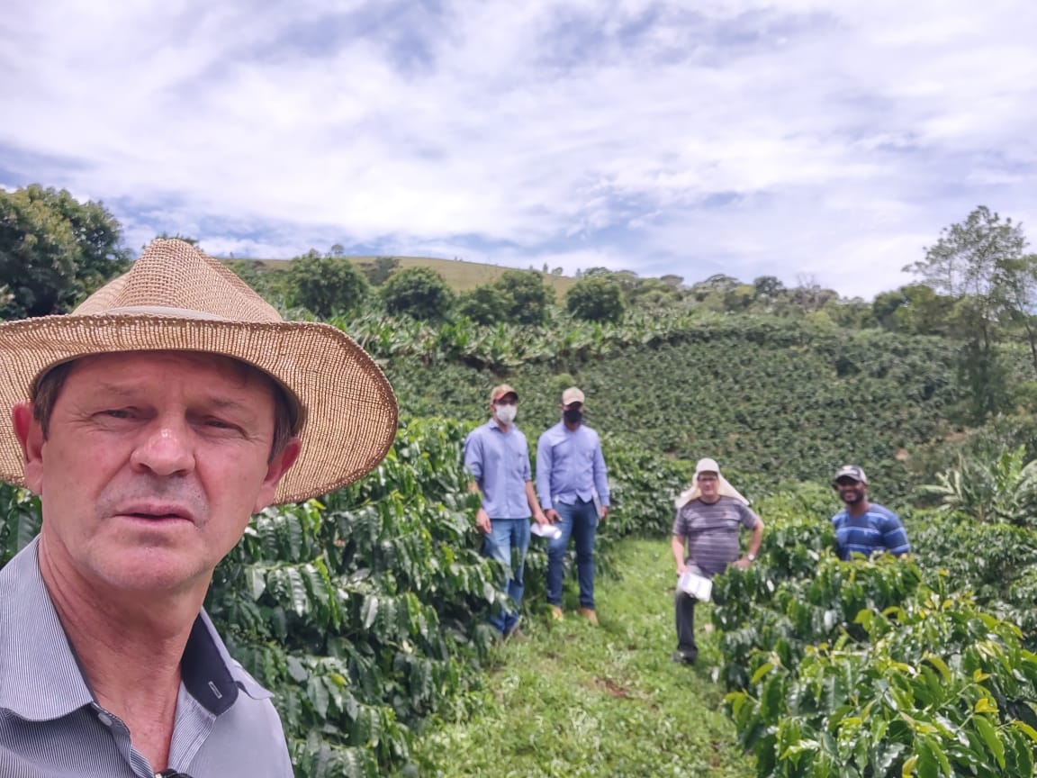 Projeto cultivares café Arábica_Crédito Divulgação Incaper