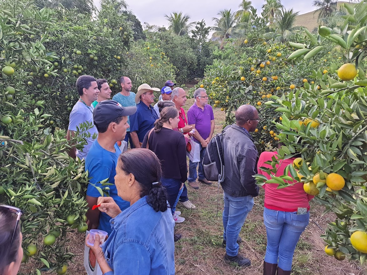 Excursão laranja_Crédito Divulgação Incaper|||Fotógrafo:Divulgação Incaper
