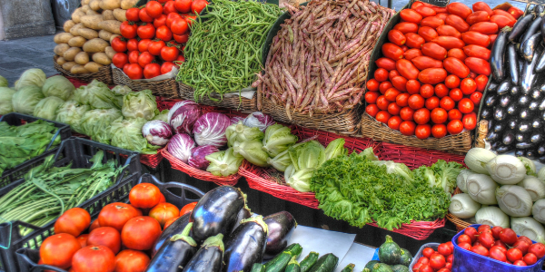 Seminário AlimentarES|||Fotógrafo:Canva