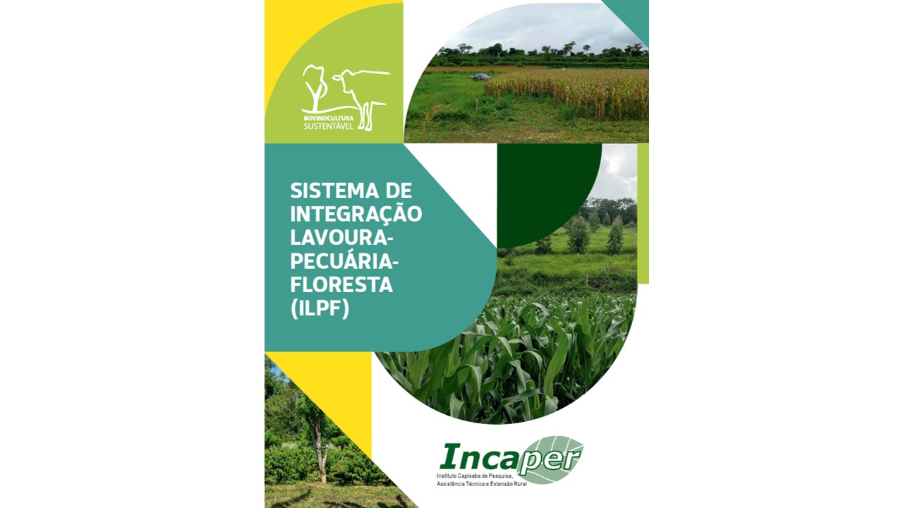 ilp