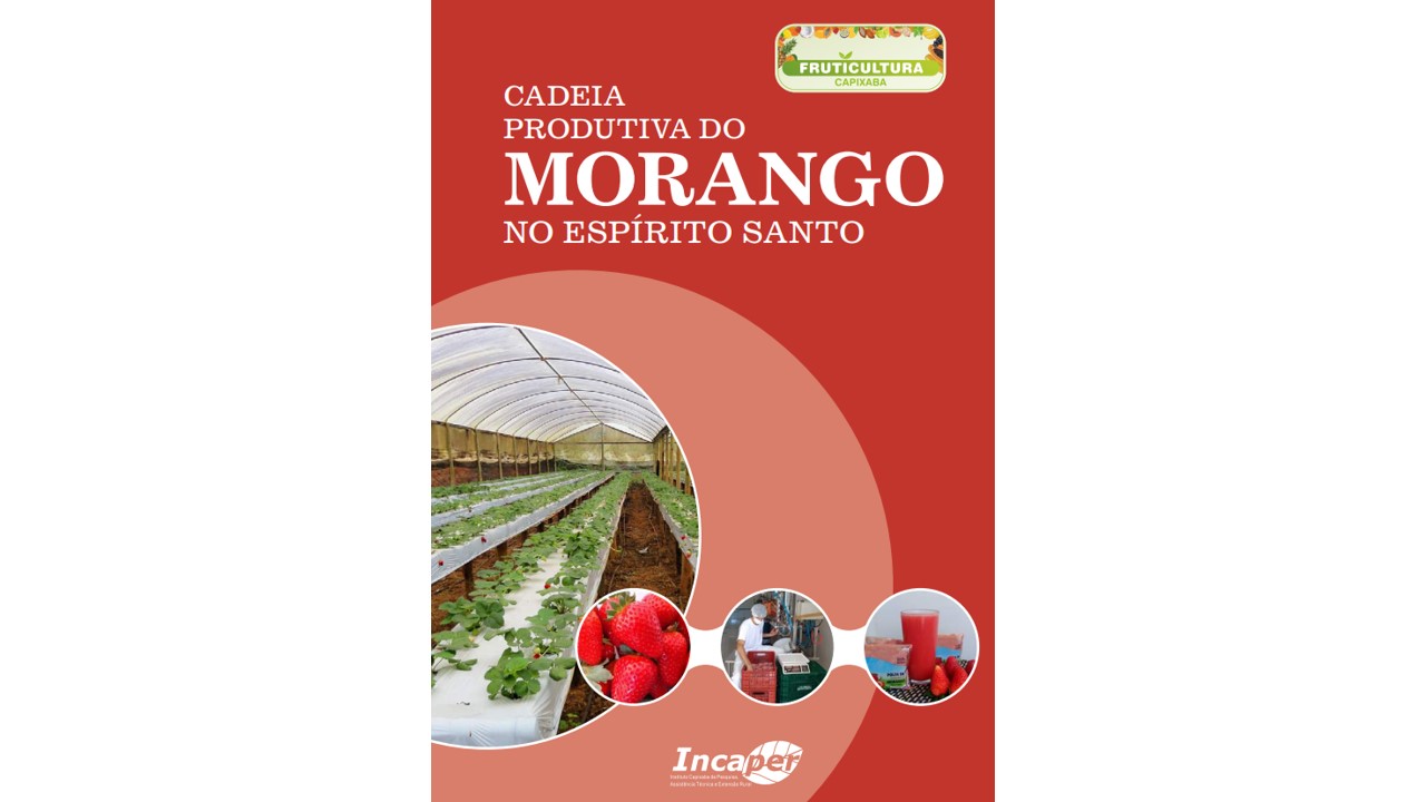 morangocapa-