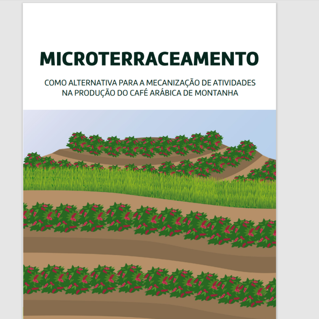 Cards para o Feed (1)