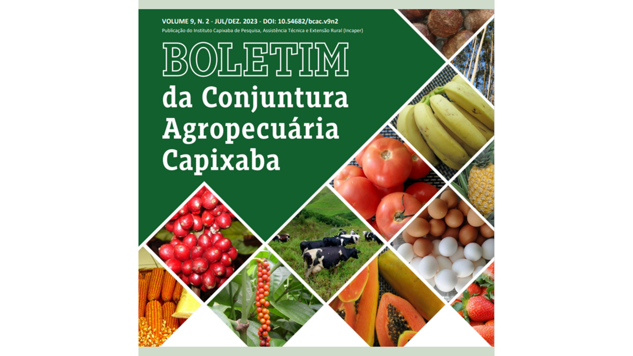 BOLETIM CONJUNTURA CAPA SITE