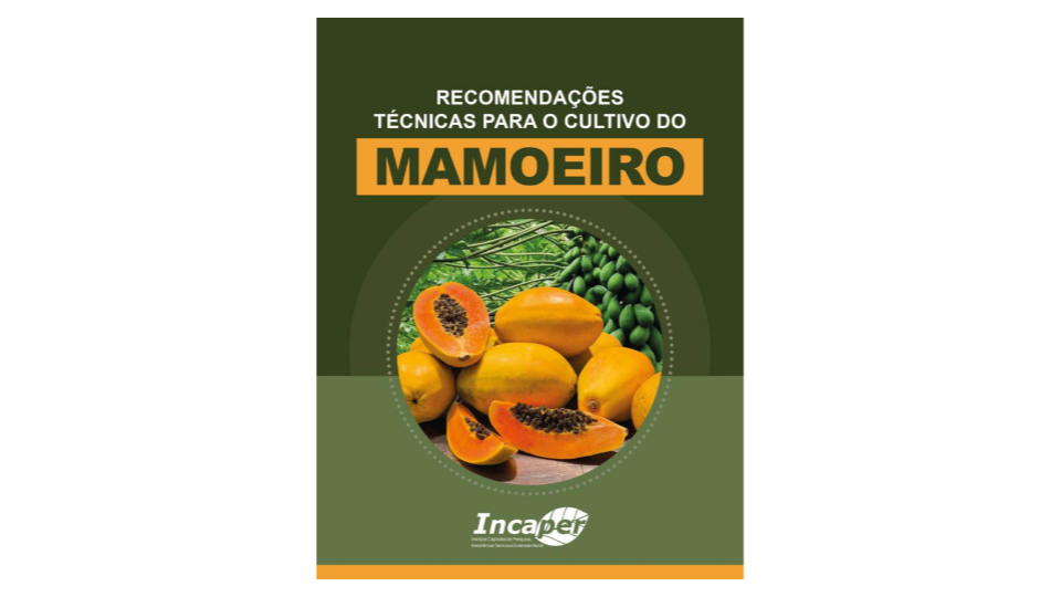 CAPA CERTA OKOKOKO