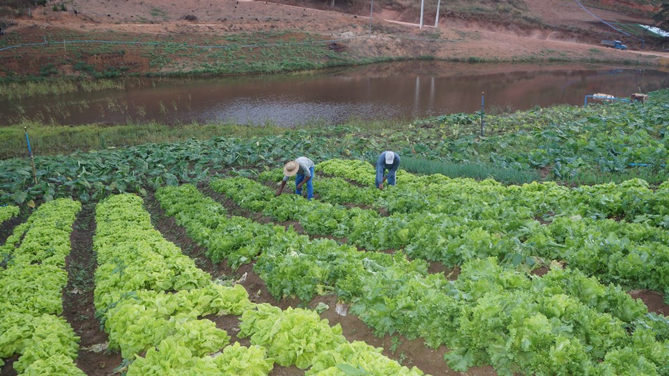 agricultores