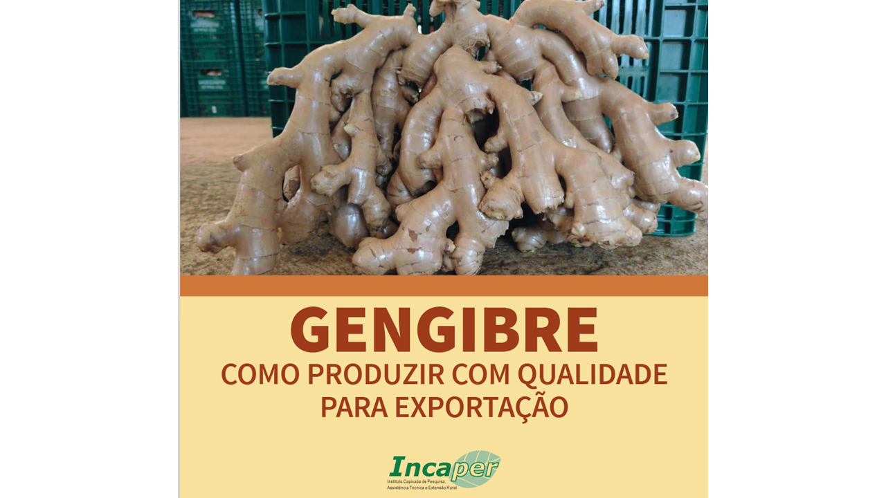 capa ginger site|||Fotógrafo:Divulgação/Incaper