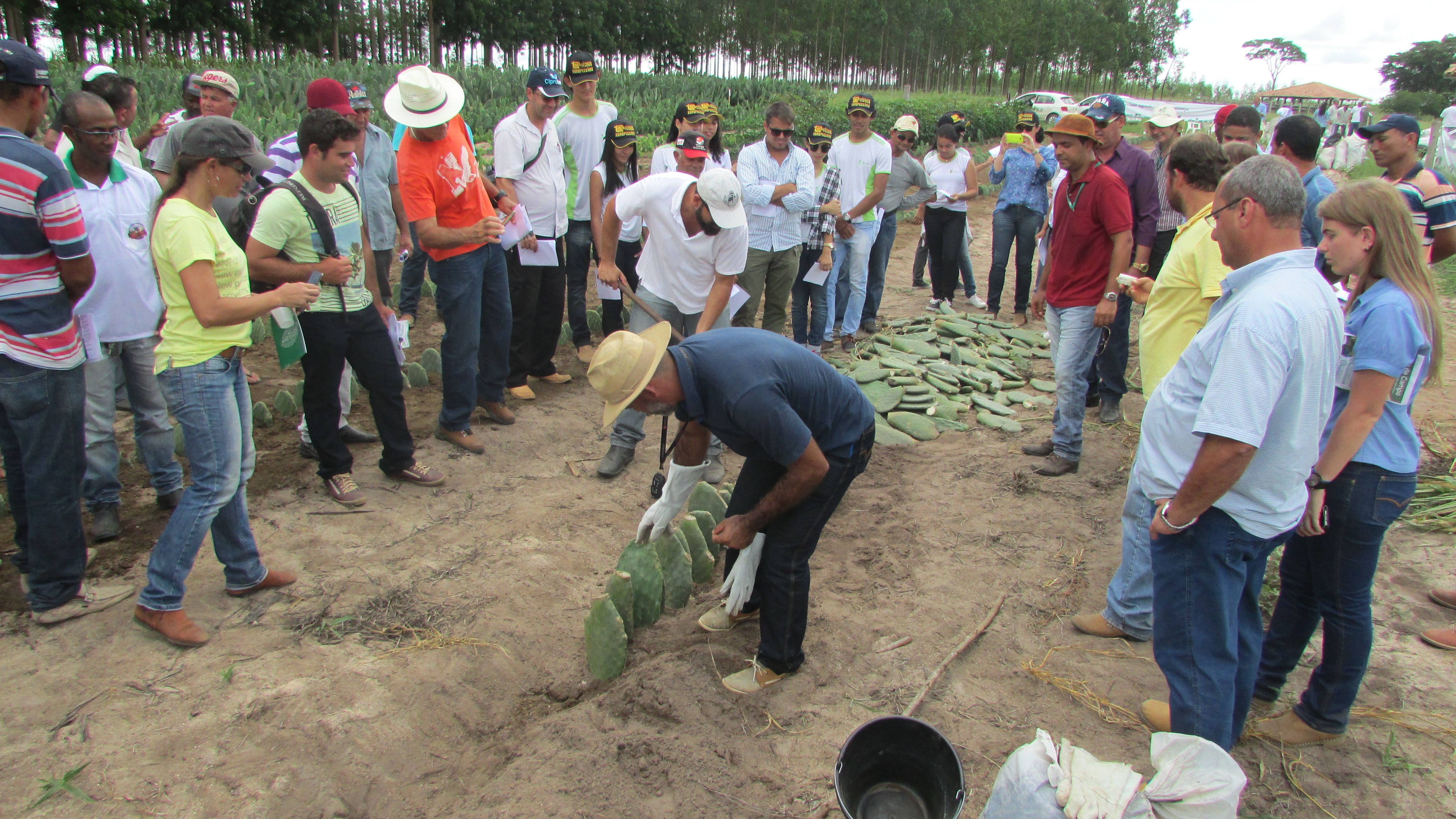 IMG_5967