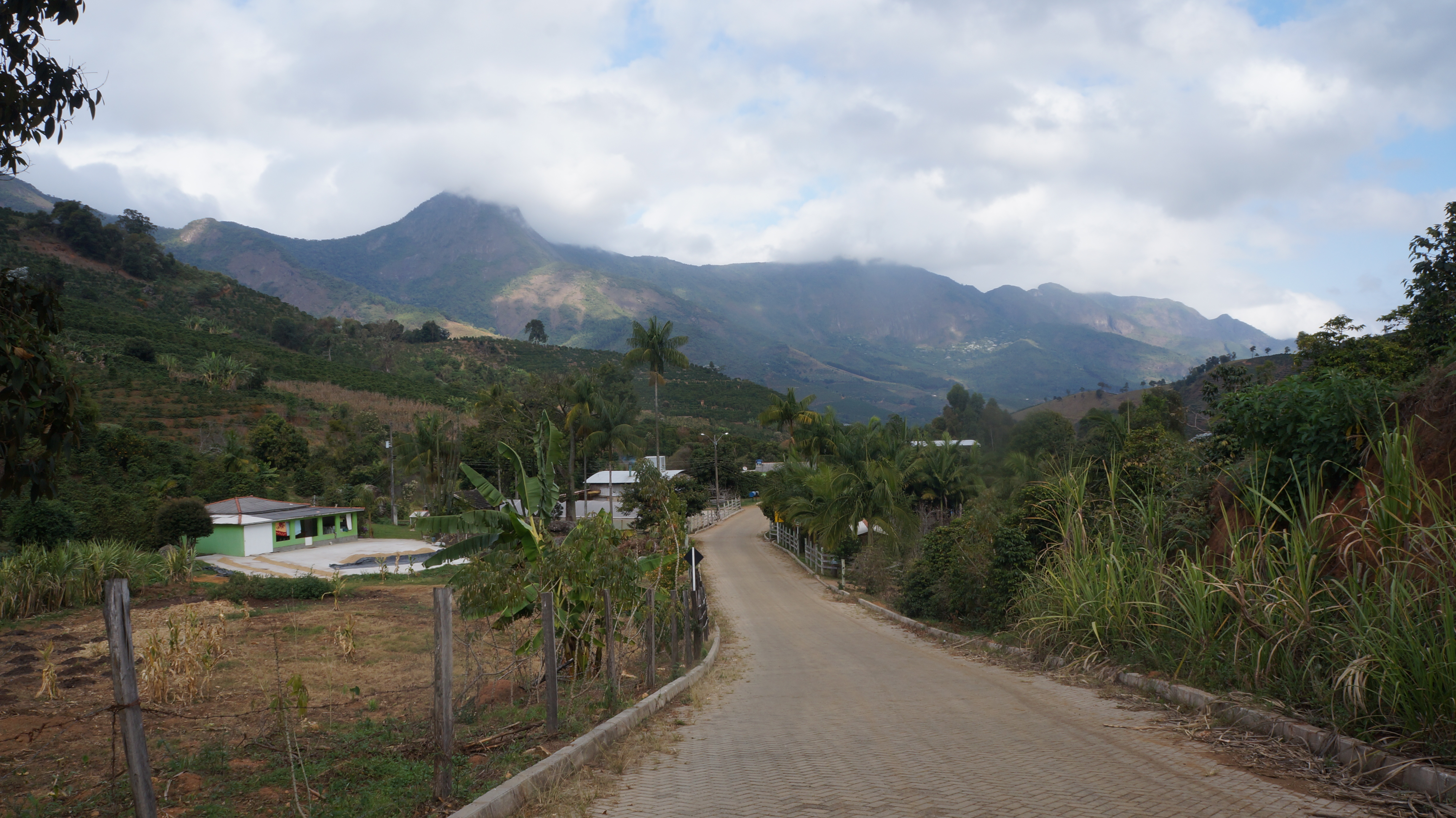 DSC05006