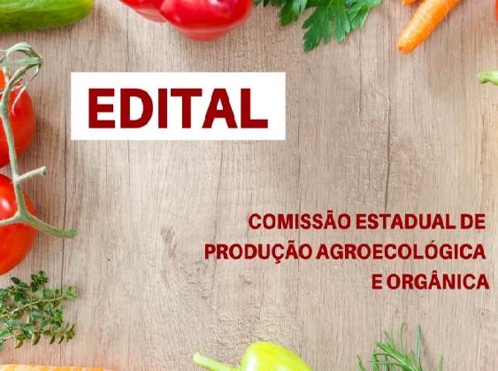 Seag_5|||Fotógrafo:Divulgação