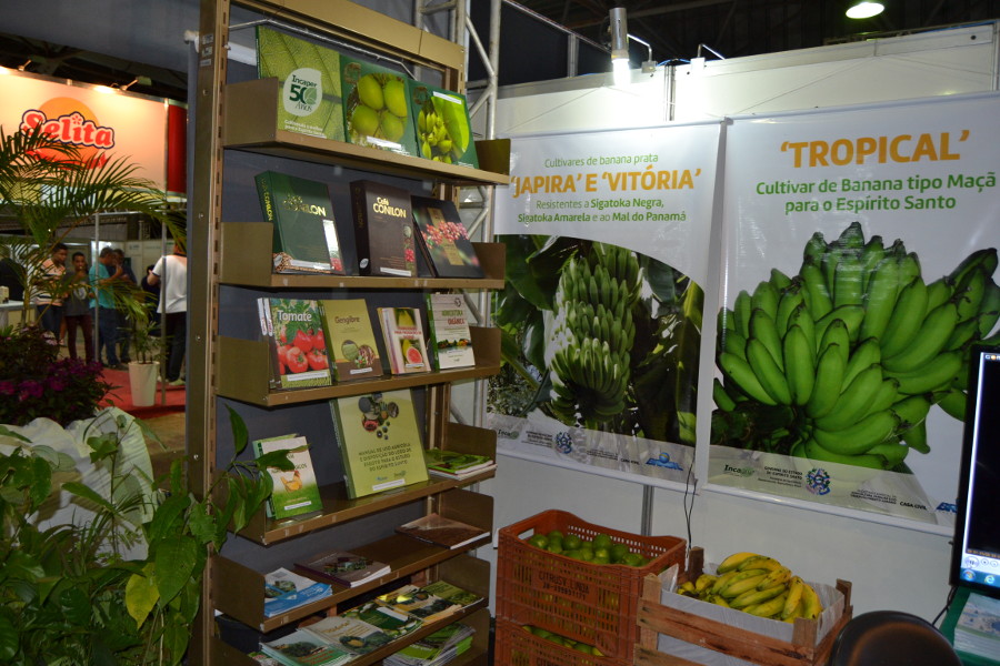 exposul