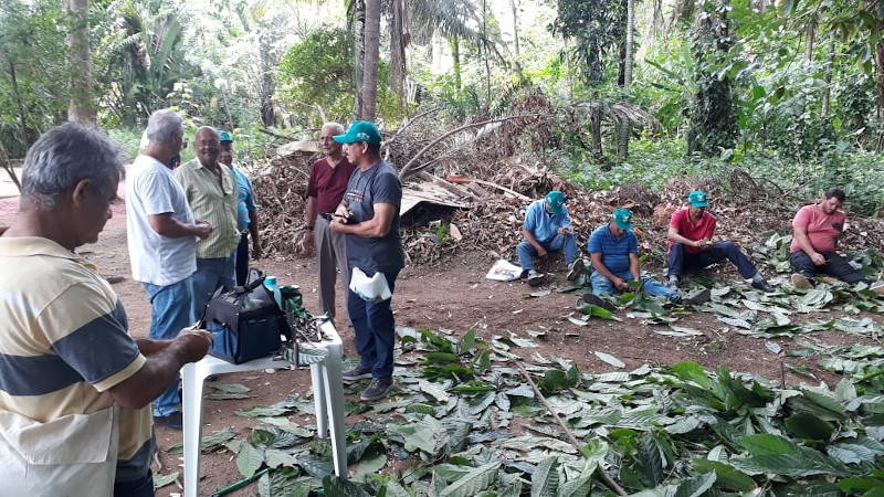 Incaper_Curso_cacau_serra|||Fotógrafo:Divulgação