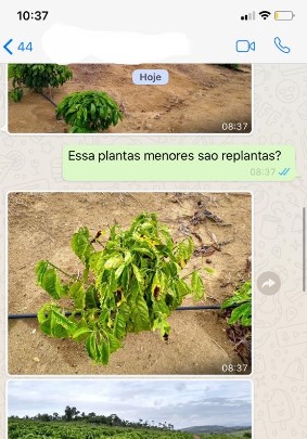Incaper_atendimento_remoto|||Fotógrafo: Incaper