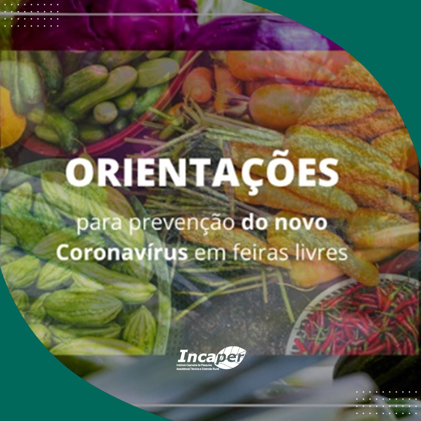 Insta_feira_cartilha