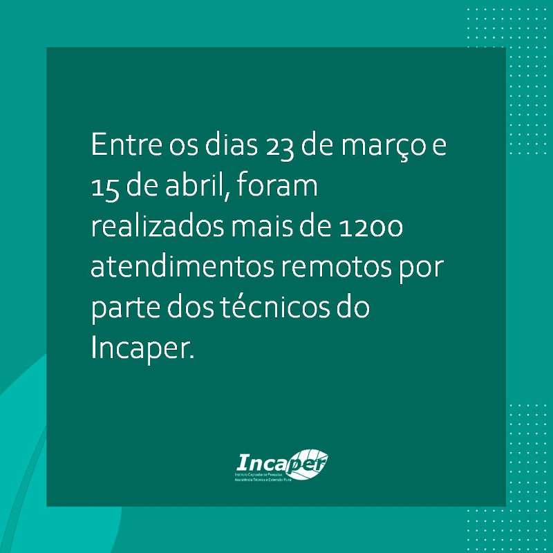 Números Atendimentos_site|||Fotógrafo:Divulgação