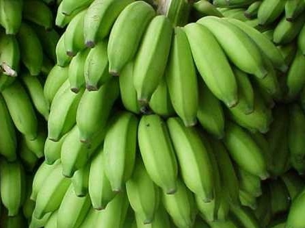 banana1|||Fotógrafo:Arquivo / Incaper