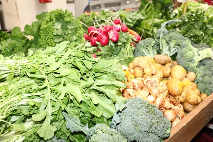feira_agroec_Seag|||Fotógrafo:Arquivo / Seag
