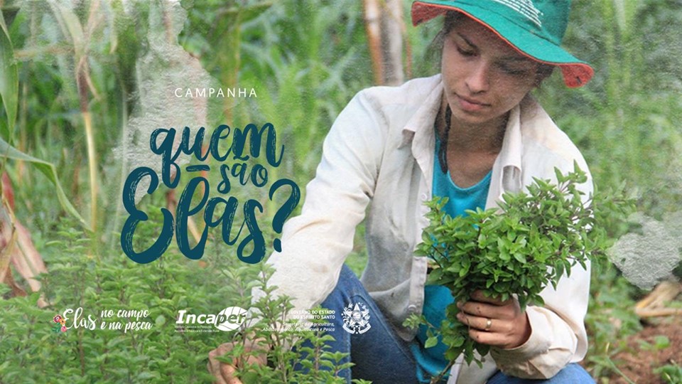 mulheres no campo e na pesca
