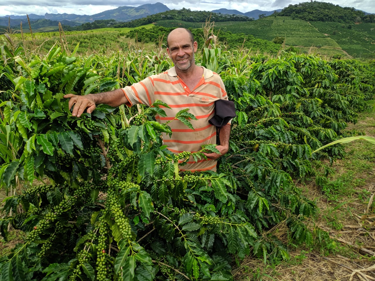 Cafeicultor Alexandro dos Santos - Irupi - Crédito Ediézio Vimercati_Incaper|||Fotógrafo:Ediézio Vimercati/Incaper