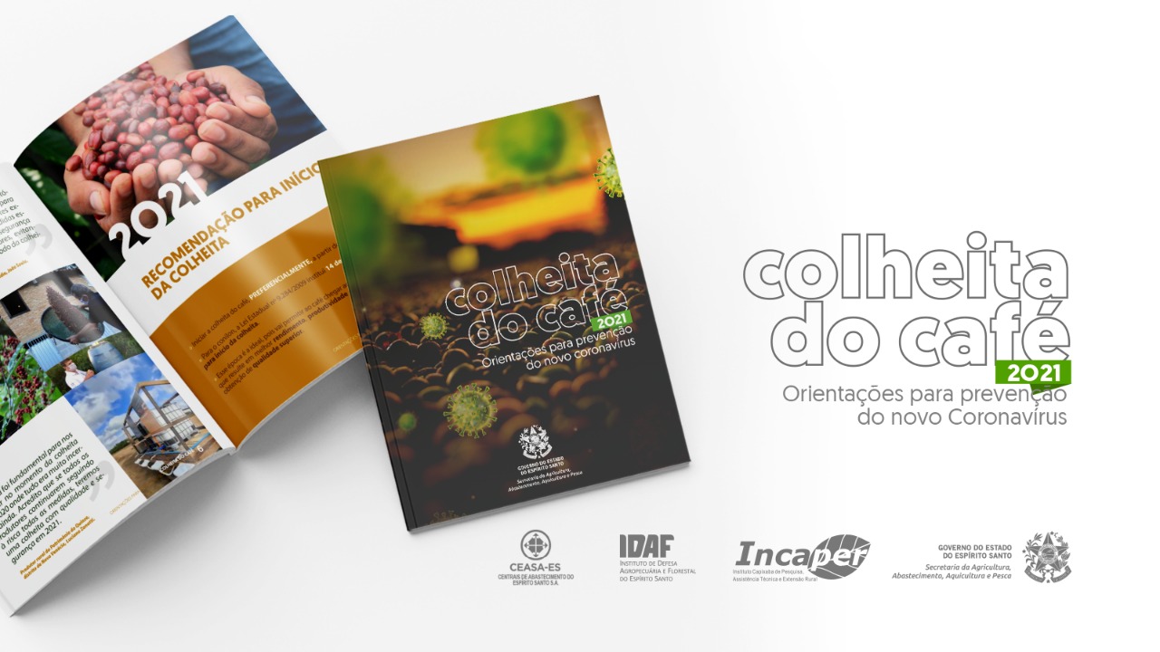 Matéria colheita café