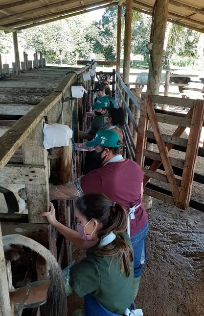Curso inseminação artificial|||Fotógrafo:Divulgação Incaper