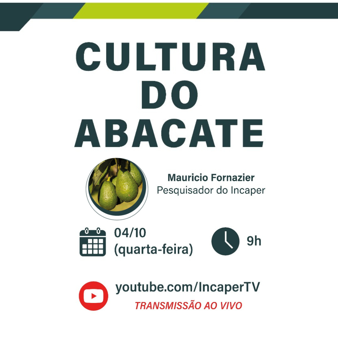 Cópia de Cópia de Cópia de Cópia de TEMPLATE MATÉRIAS (13)