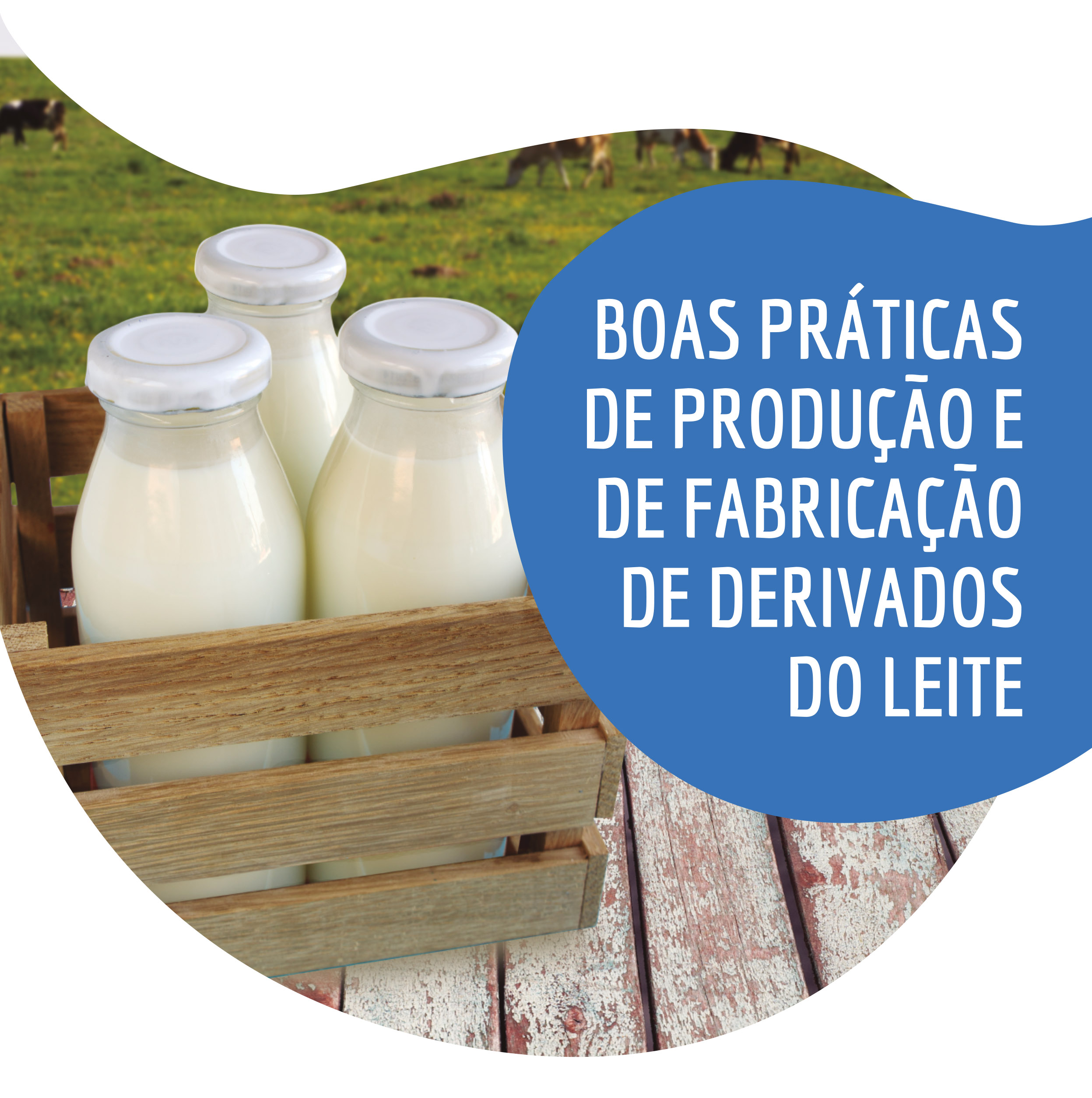 Incaper disponibiliza -  on-line -  a cartilha “Boas Práticas de Produção e de Fabricação de Derivados do Leite”.