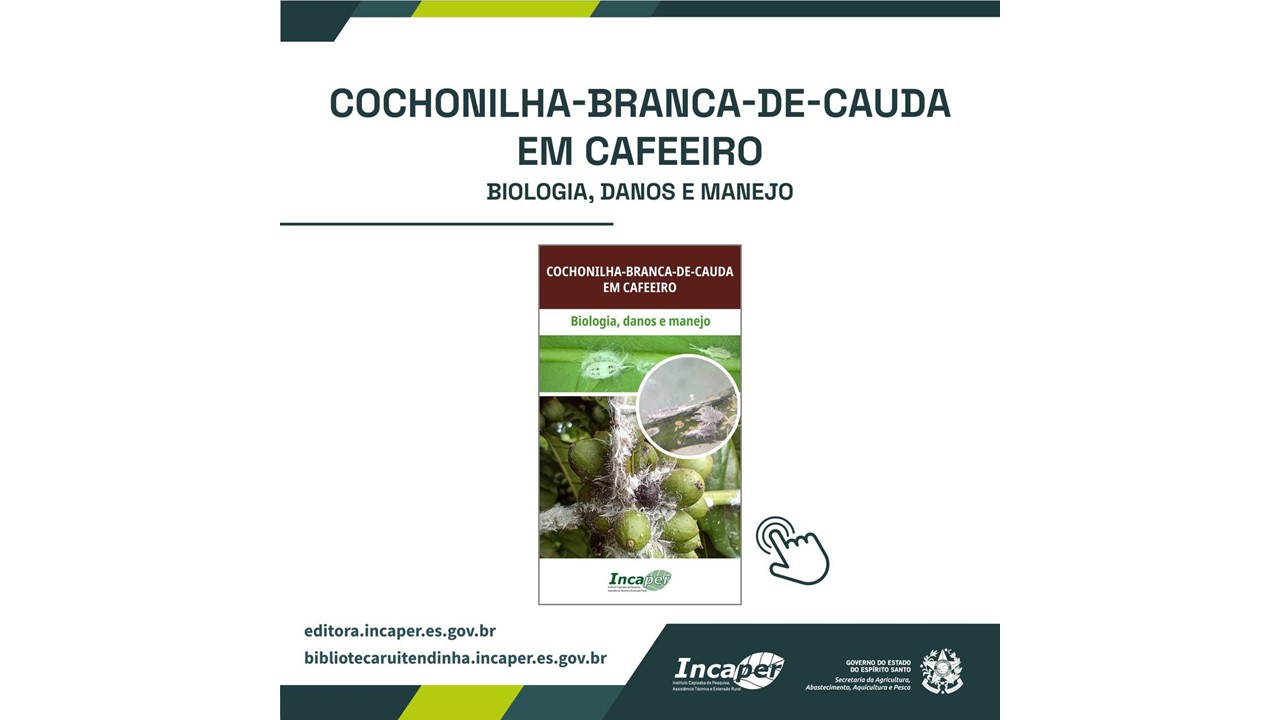 capa-folder-cochonilha