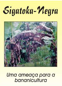 705ef-sigatoka_negra