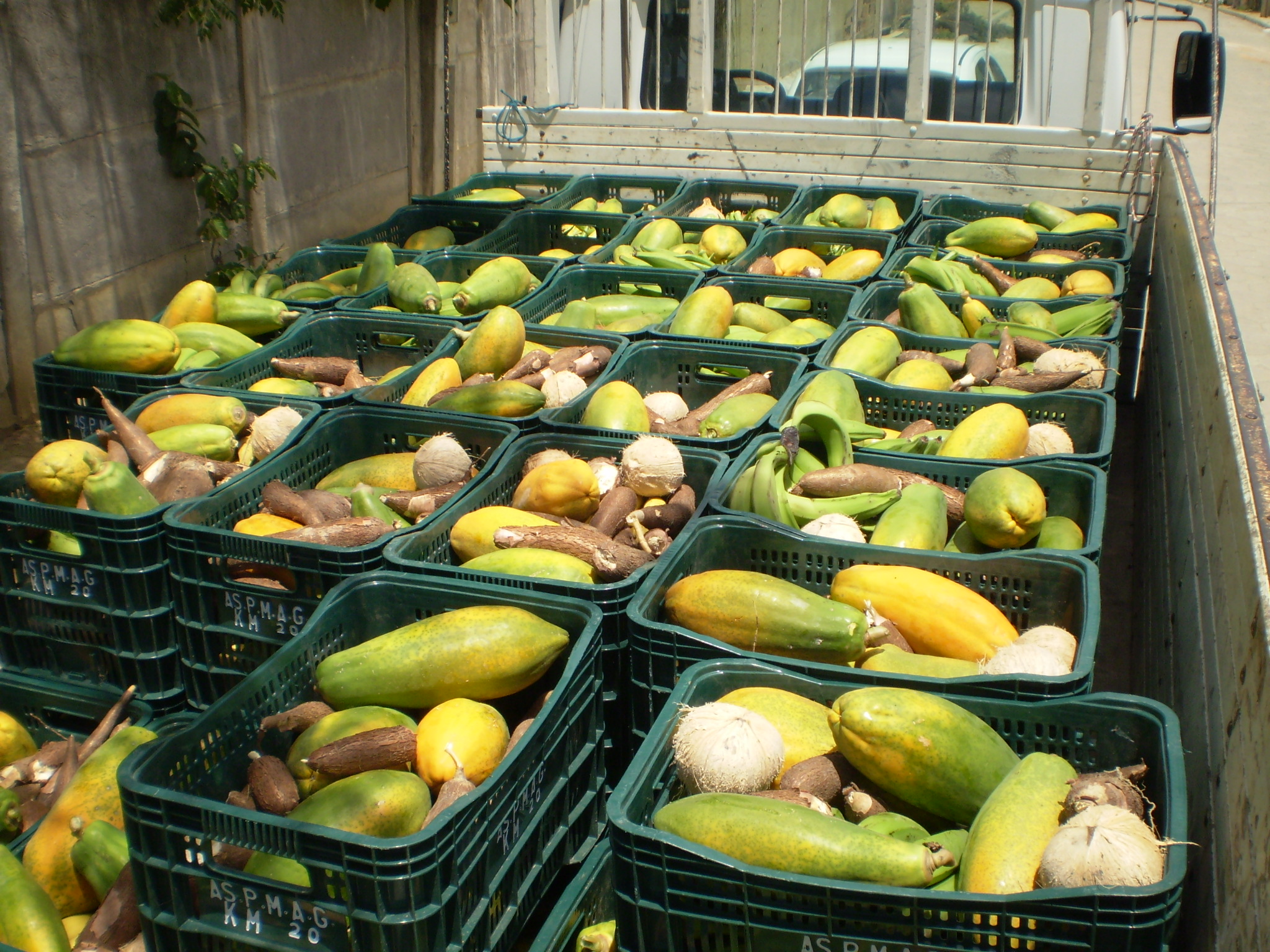 O Espírito Santo pretende rastrear a produção agrícola -  com o objetivo de identificar a procedência dos alimentos produzidos no Estado.