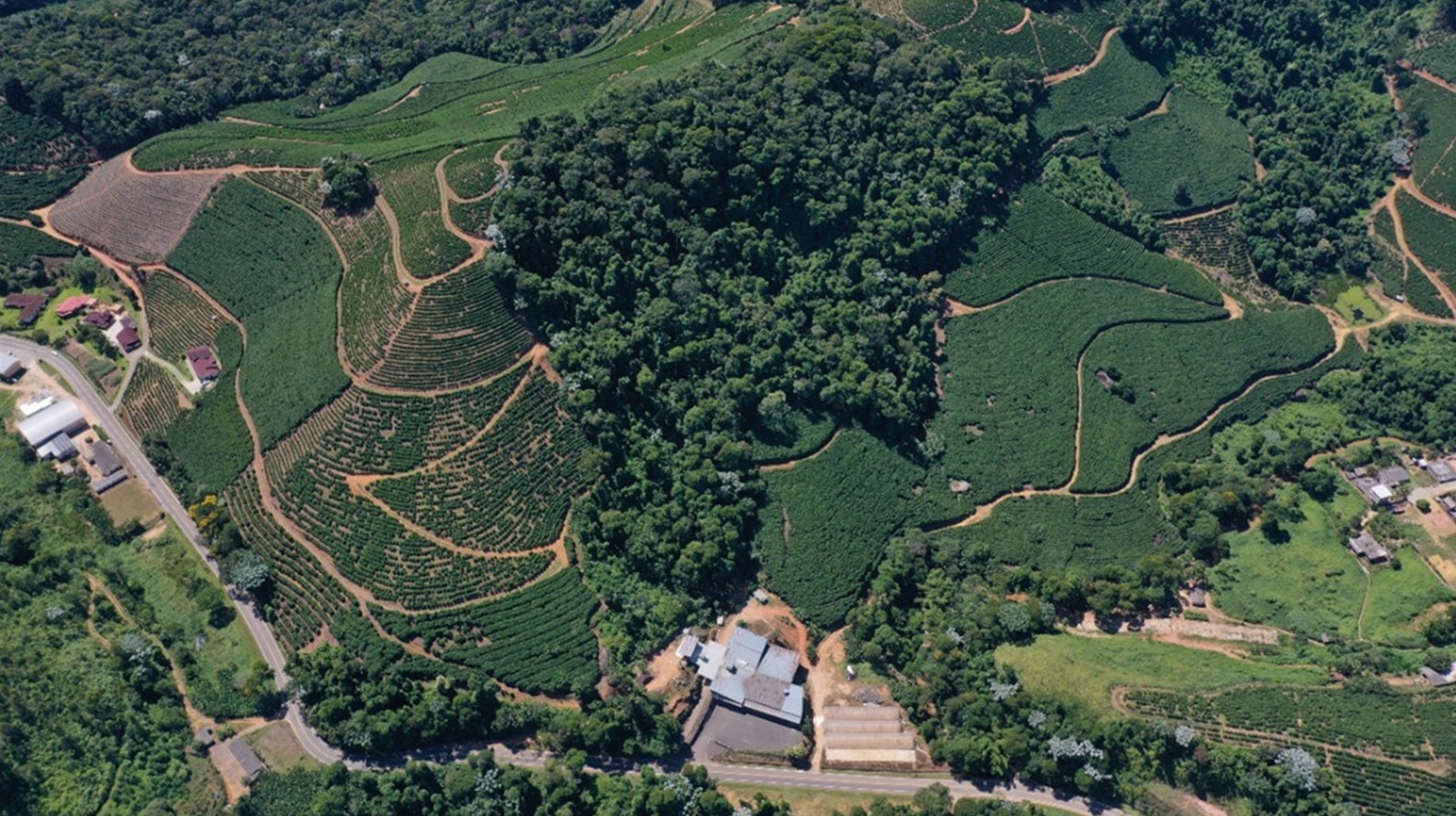 Projeto do Governo do Estado impulsiona cafeicultura sustentável no Espírito Santo