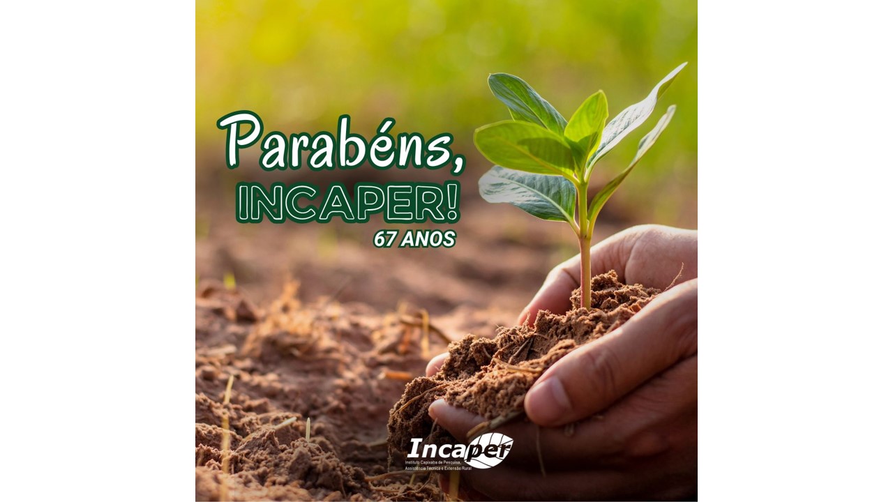aniversario_67