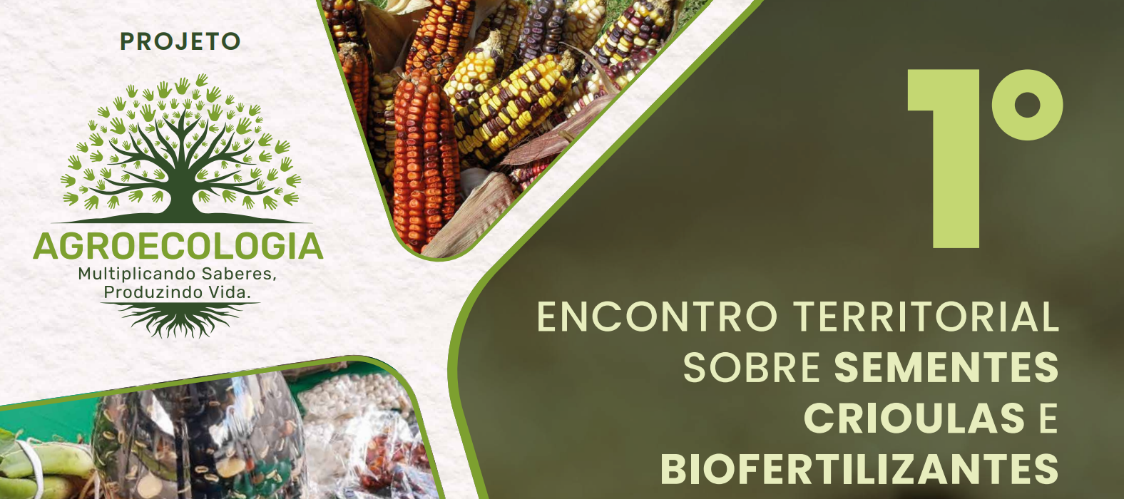 biofertilizantes-arte