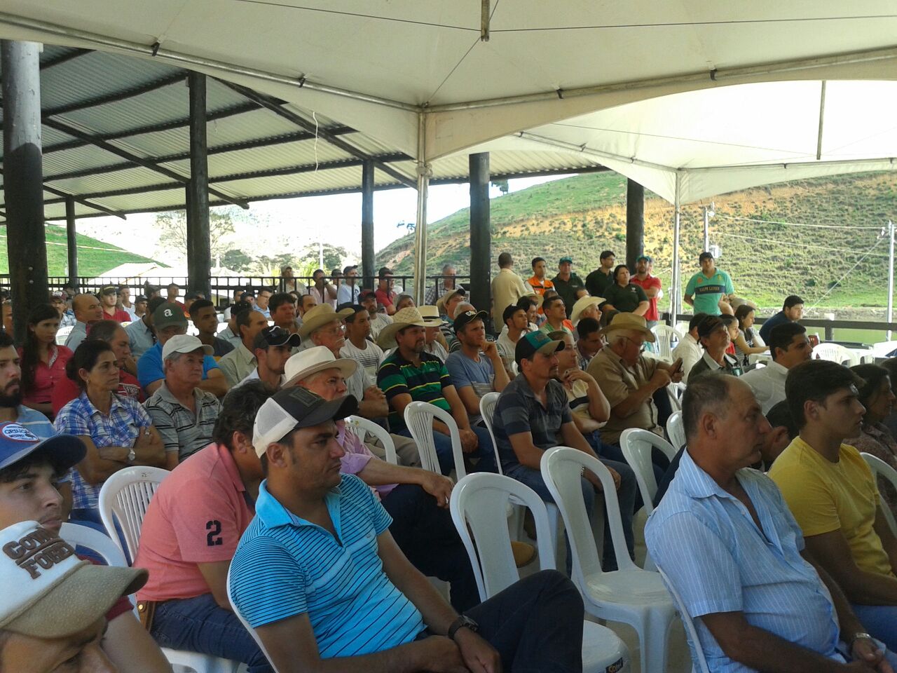 bovino_pancas|||Fotógrafo:ELDR Pancas