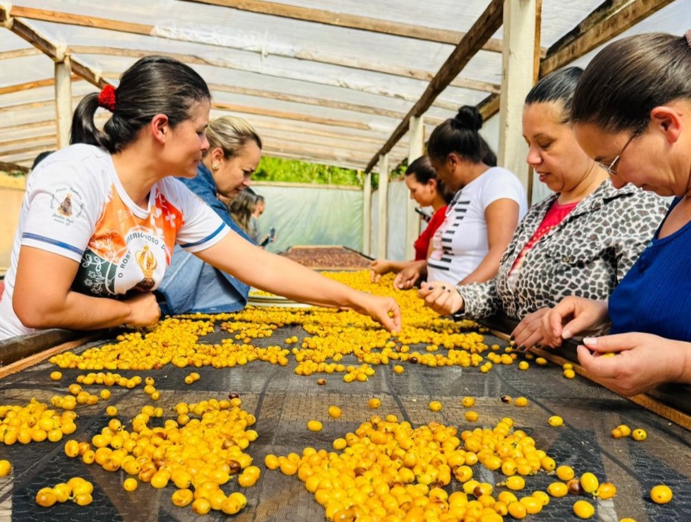 Projeto Mulheres do Café promoveu ações em 22 municípios capixabas em 2024
