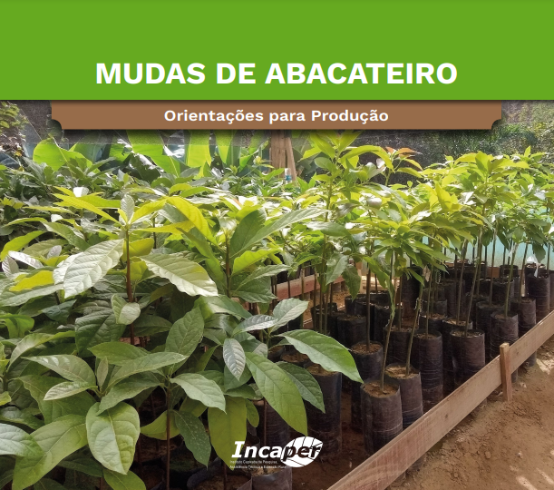 capa_mudas_de_abacateiro_incaper