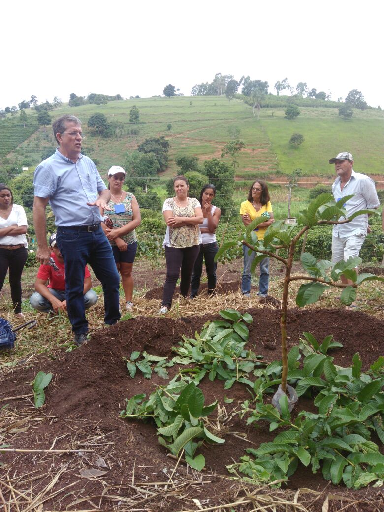 e8270e43-4f25-43c4-afcf-a88ae356a7af|||Fotógrafo:Tiago dos Santos/Incaper 