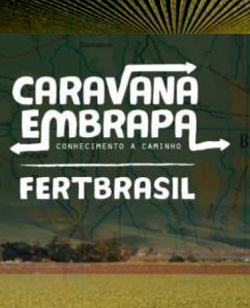 embrapaaaa